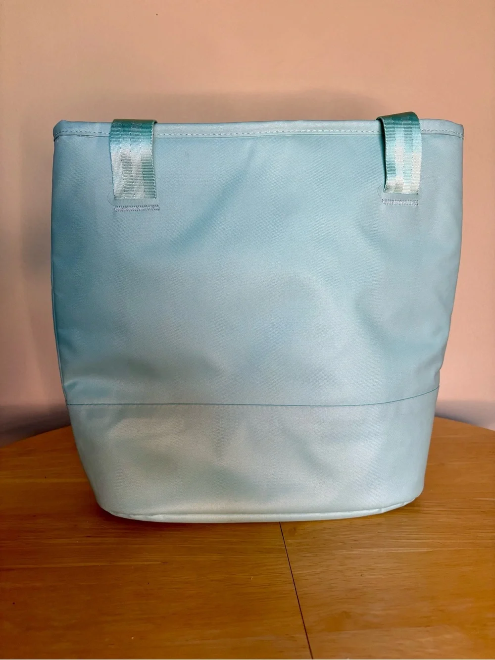 Hydro Flask Aqua Blue Insulated Tote